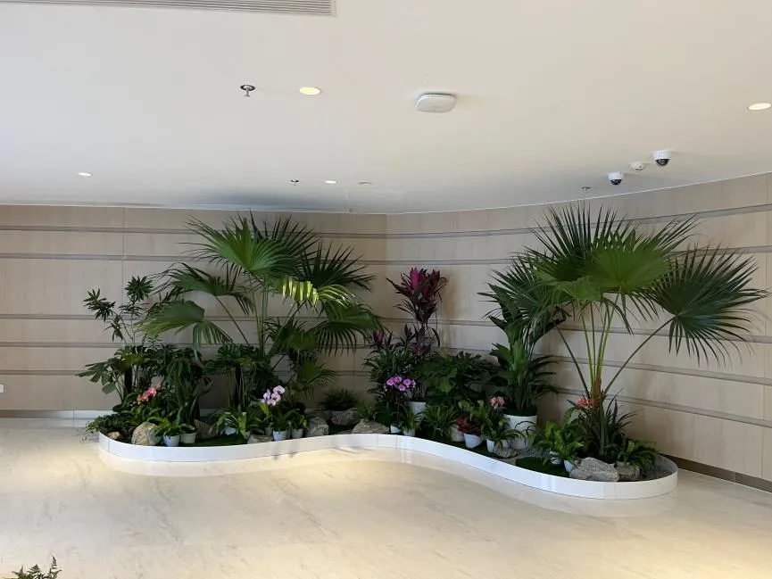 鄞州盆景租摆方案